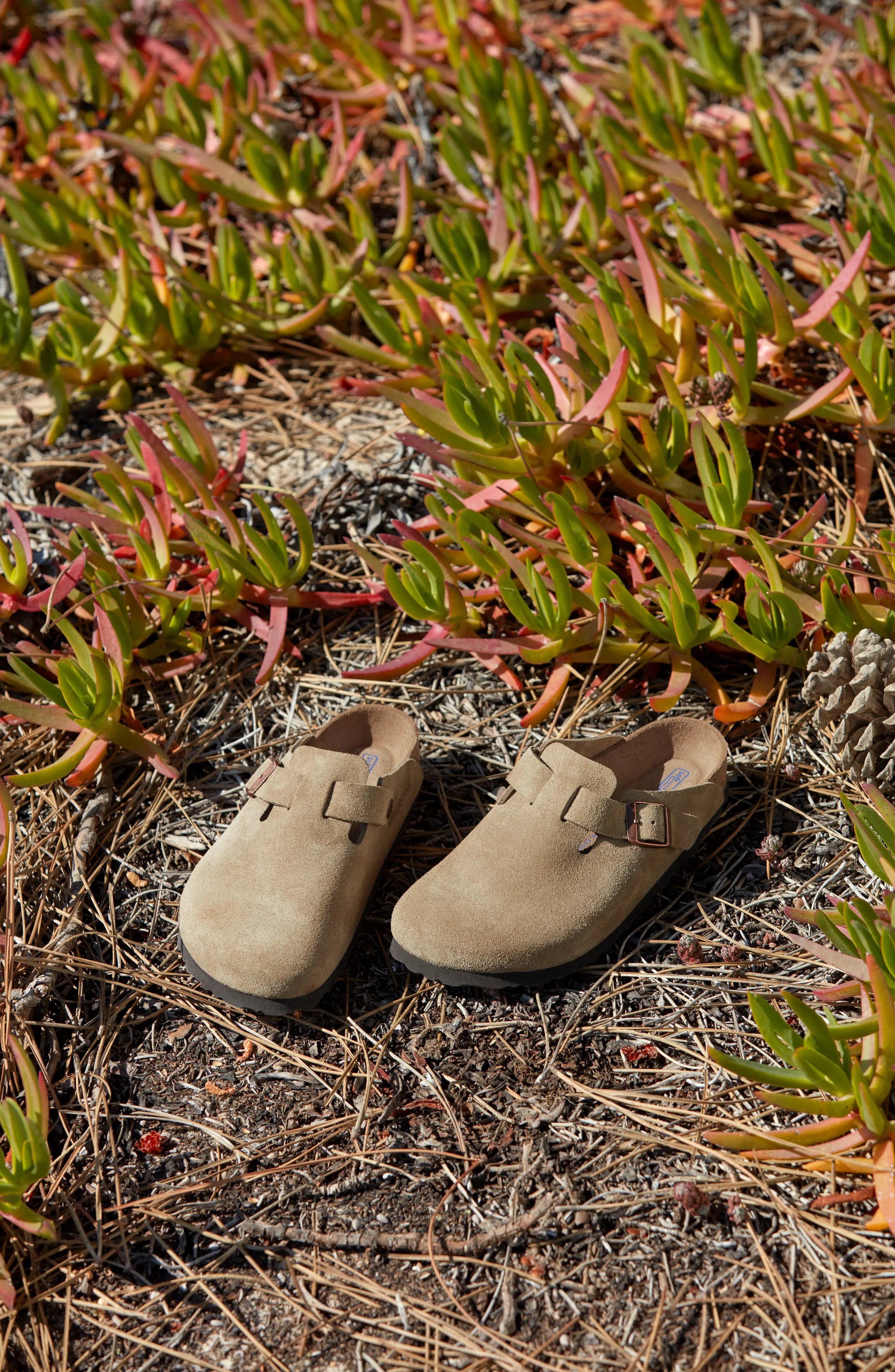 'Boston Soft' Suede Clog - 9