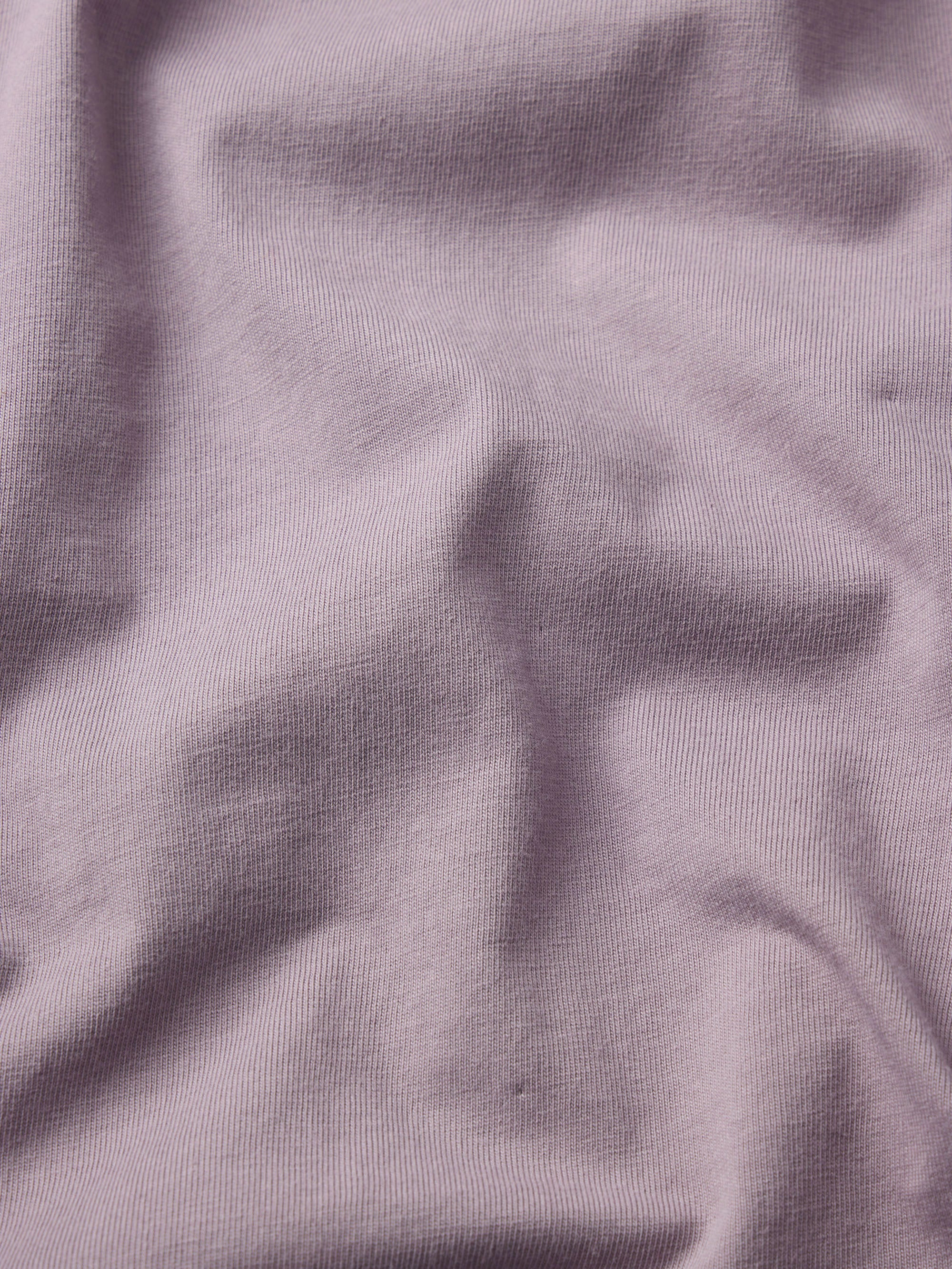 Frame Logo Tee in Old Lavender - 4