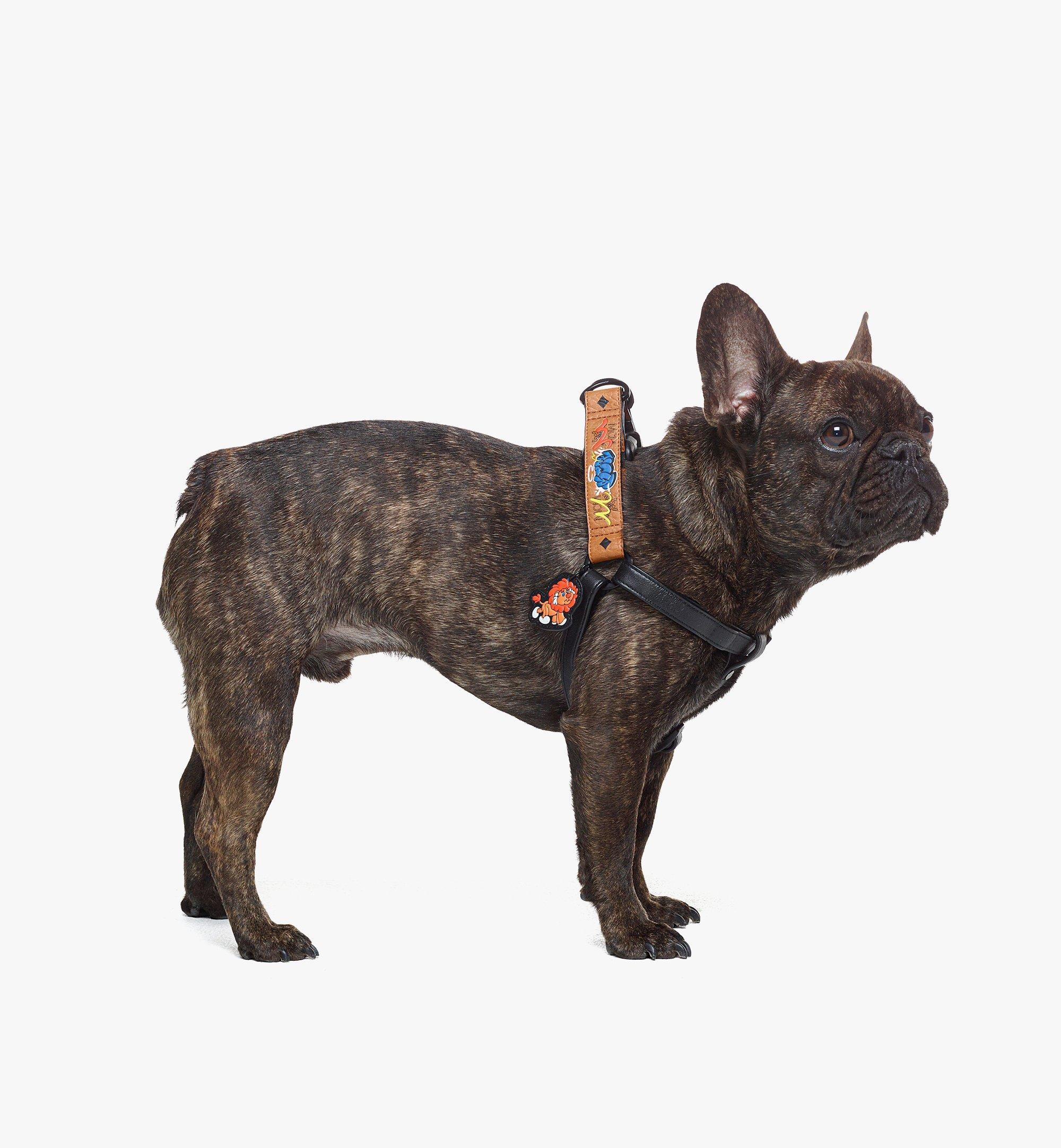 Haru, Henry, Kaiser Pet Harness in Visetos - 4