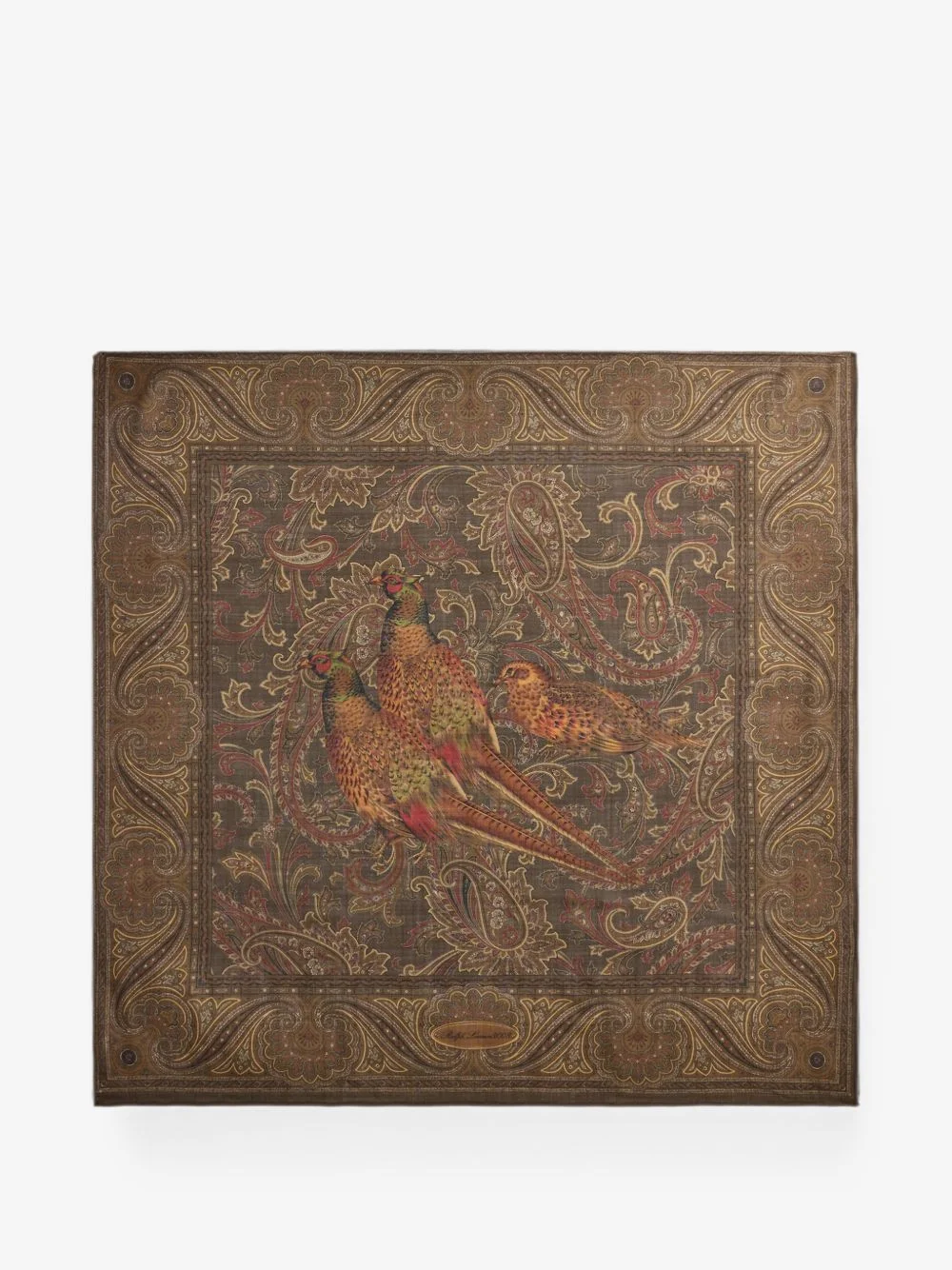 pheasant paisley-print scarf - 1