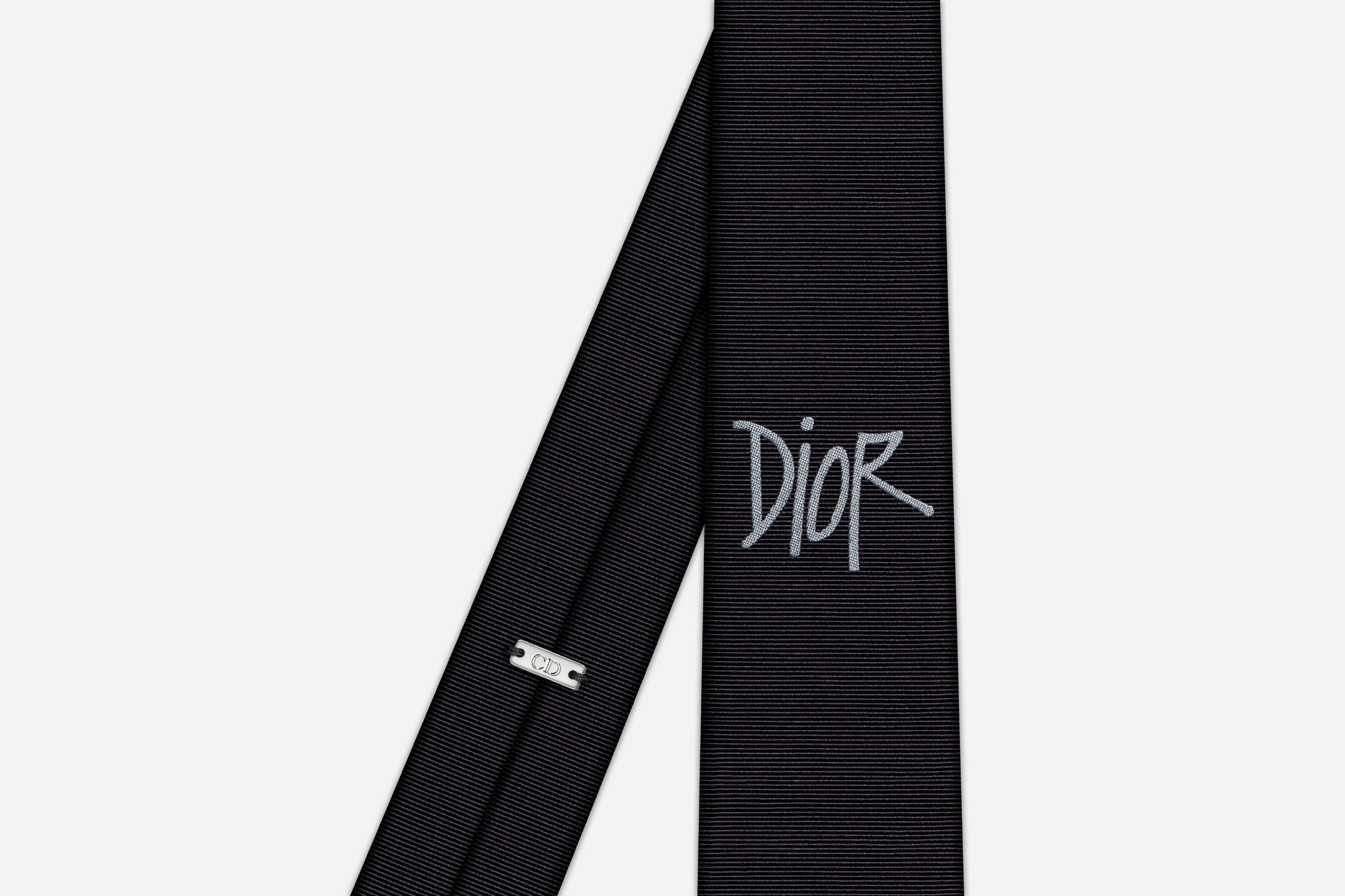 DIOR AND SHAWN Tie - 2