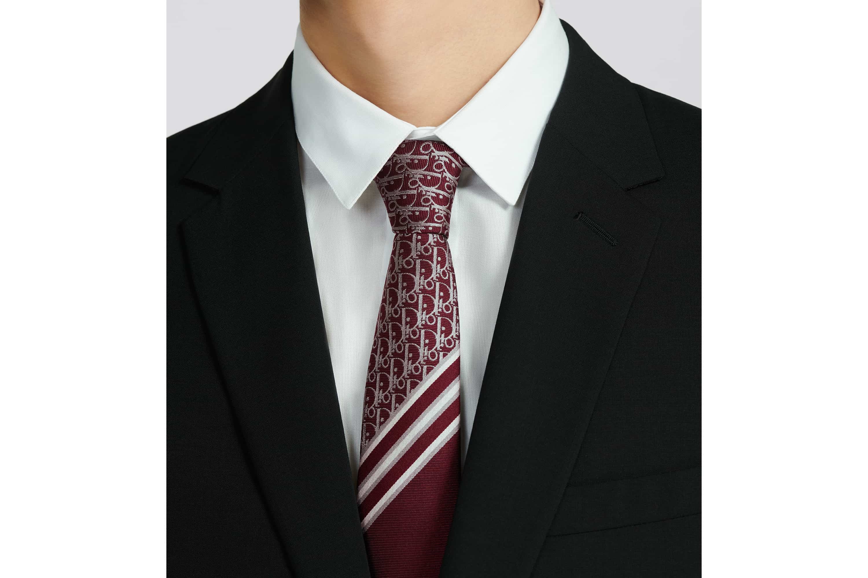Striped Dior Oblique Tie - 3