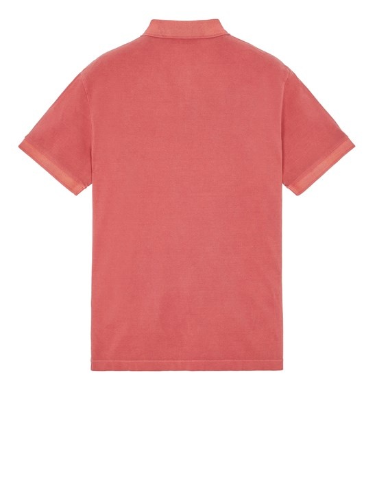 2SC67 PIGMENT DYE CYCLAMEN - 2