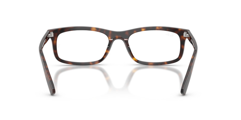 RB5450 OPTICS 6