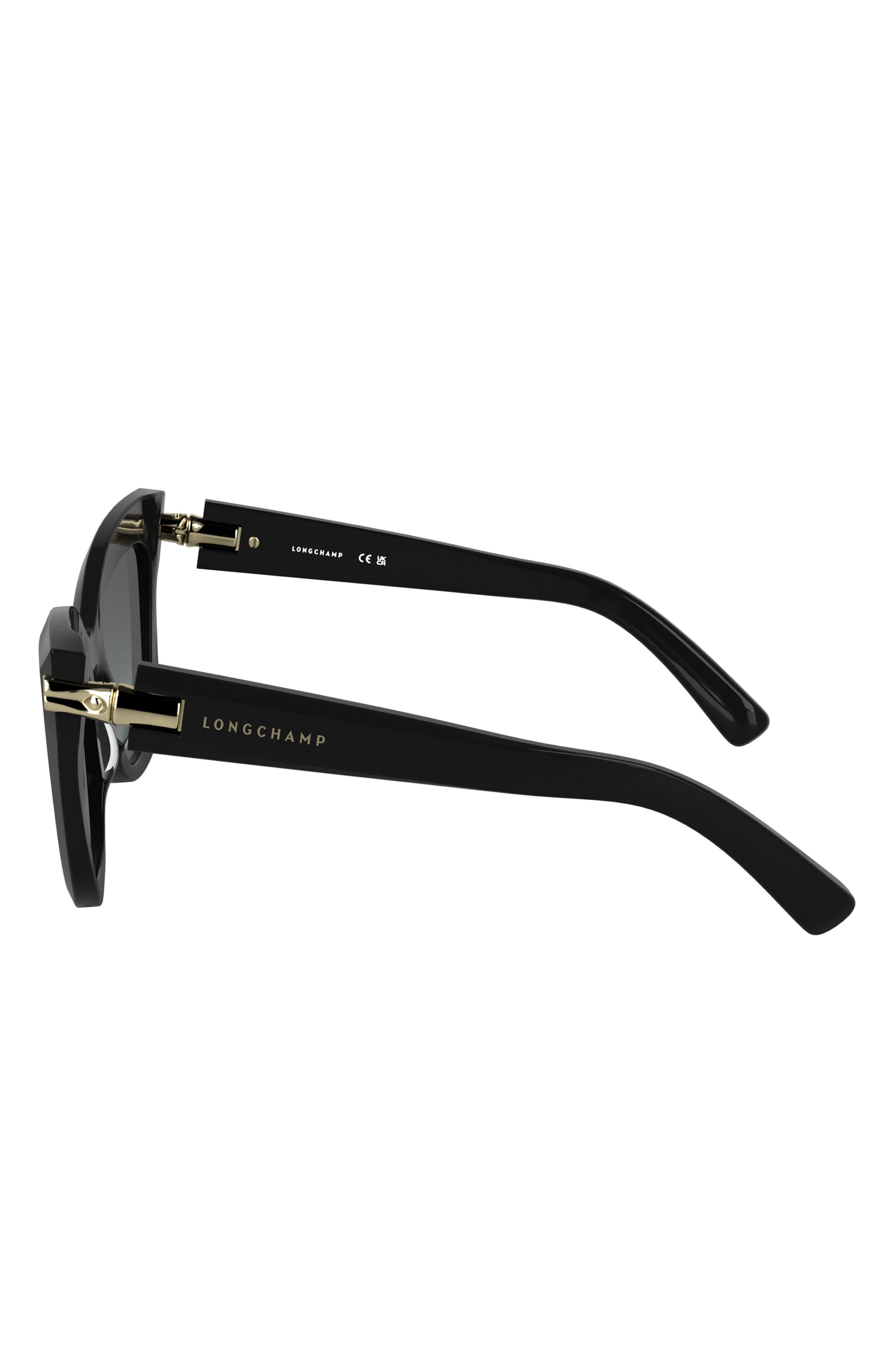 Longchamp Roseau 50mm Gradient Cat Eye Sunglasses in Black at Nordstrom - 3