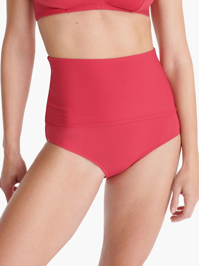 Gredin bikini briefs 6