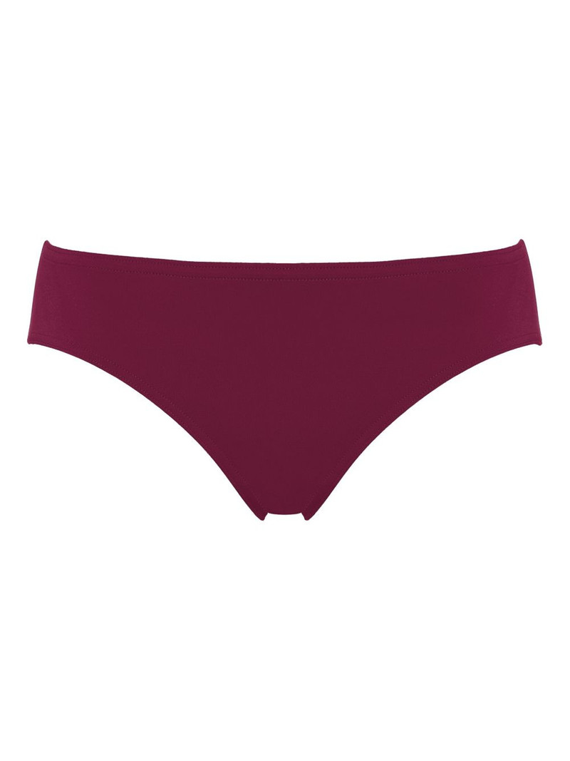 Success bikini briefs 1