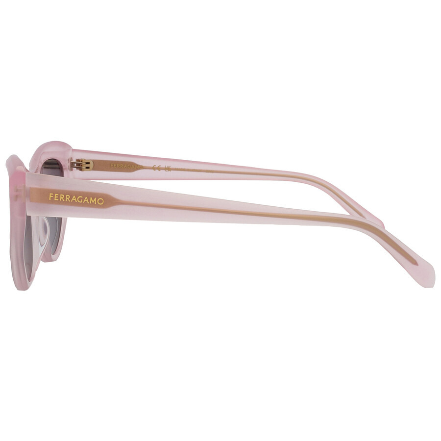 Salvatore Ferragamo Dark Grey Cat Eye Ladies Sunglasses SF1103S 663 55 - 5