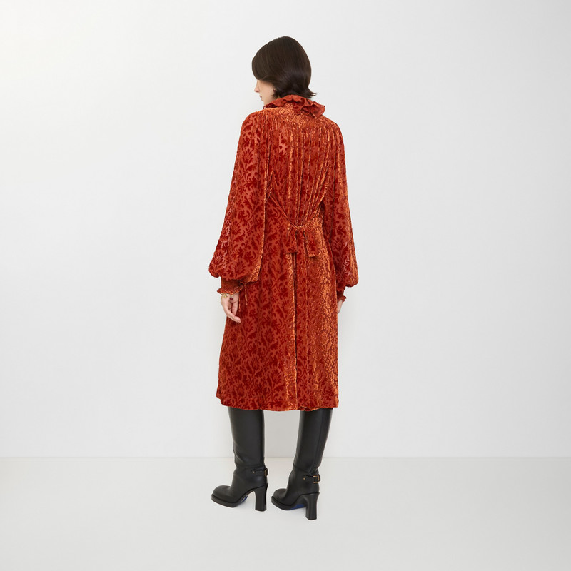 Baroque Silk Blend Velvet Dress 3