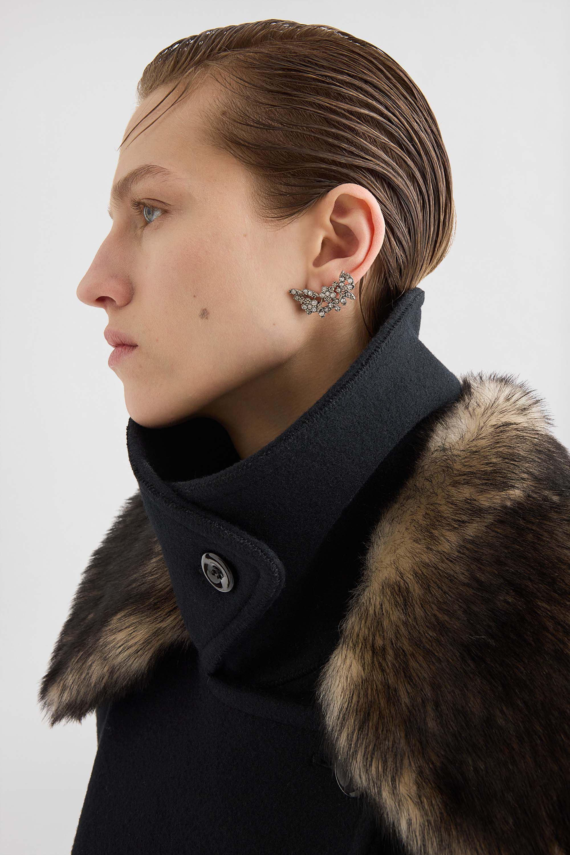 Earrings - 2