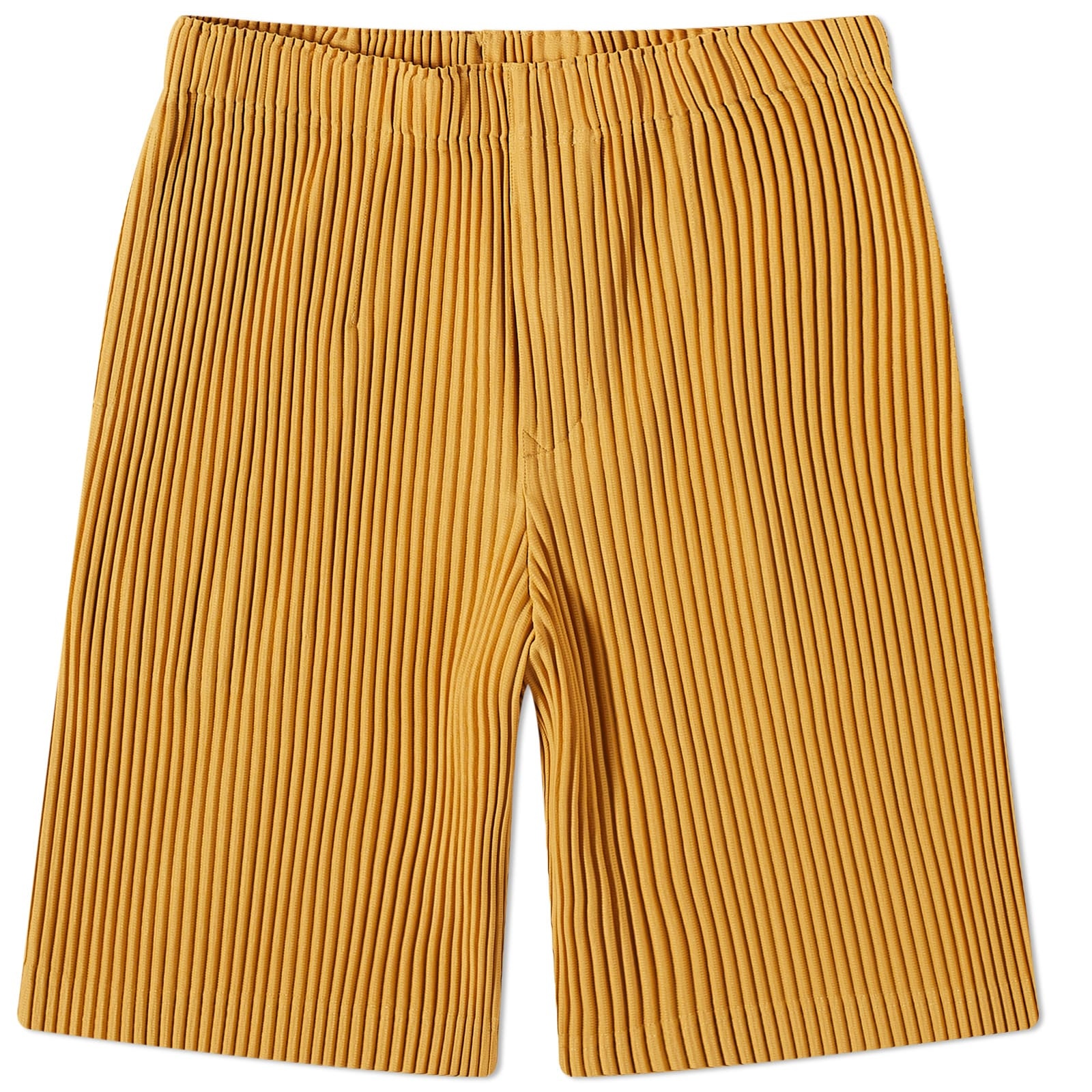 Homme Plissé Issey Miyake Pleated Shorts - 1