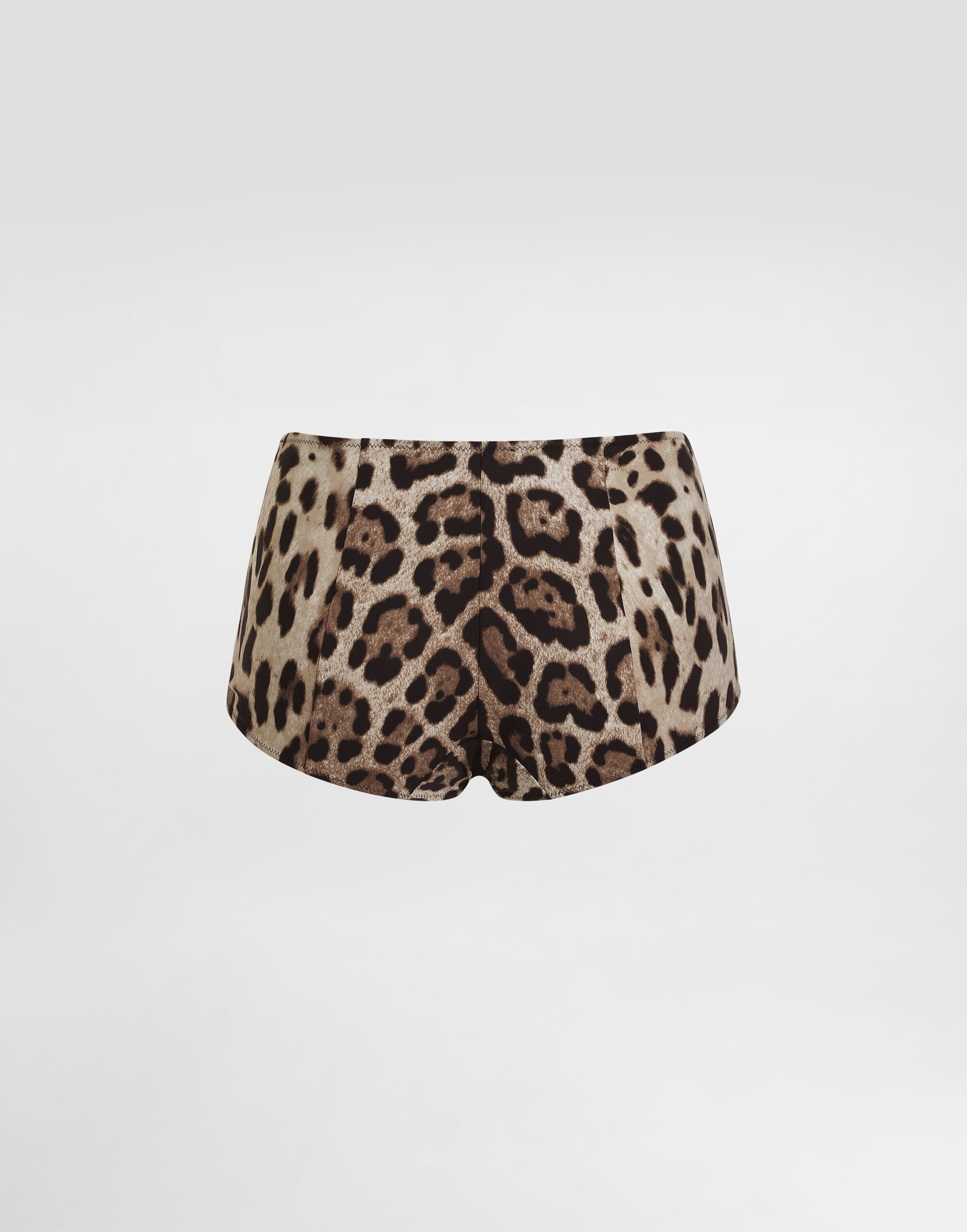 Leopard-print high-waisted bikini bottoms - 2