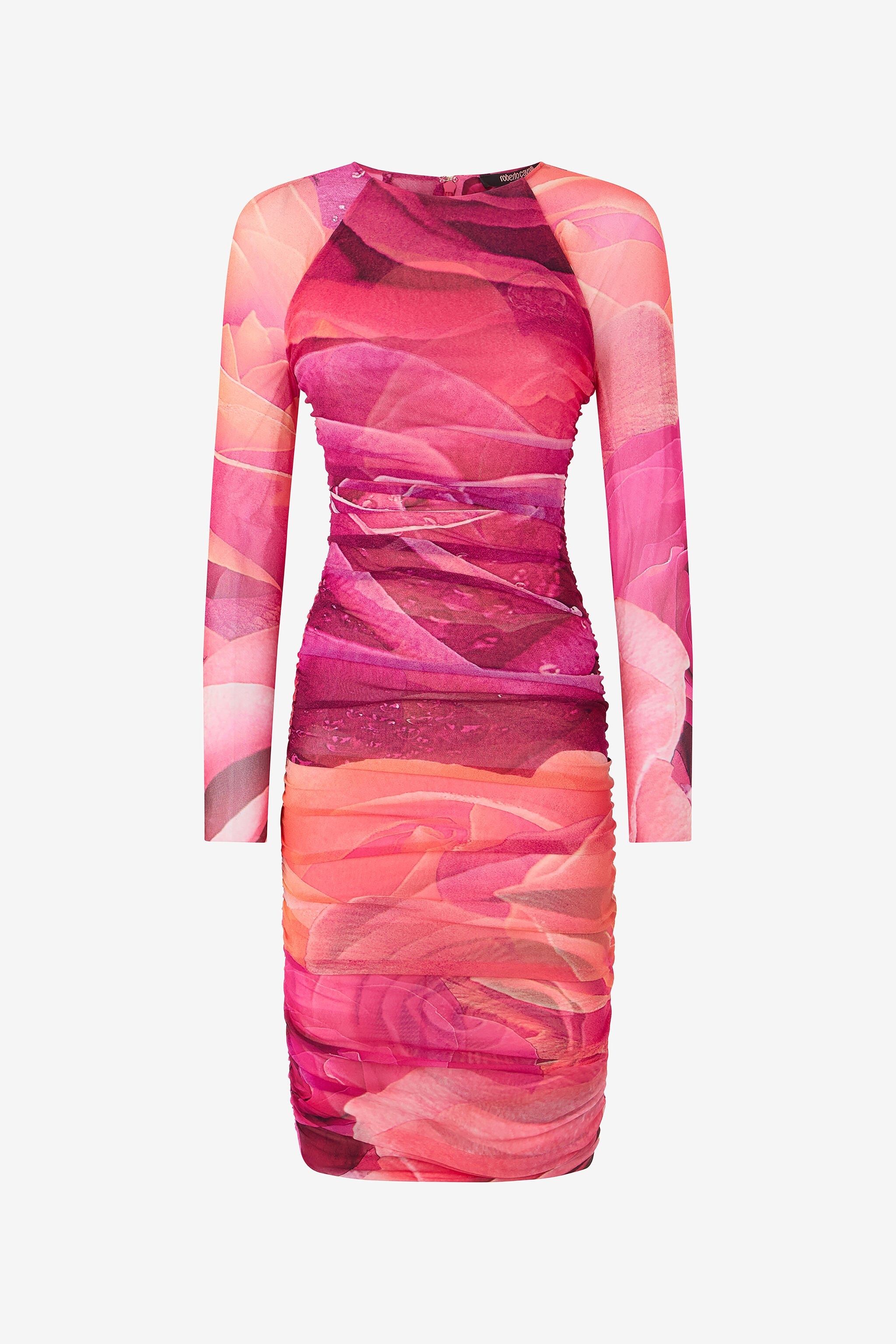 Sheath Dress With Rose Print - 1