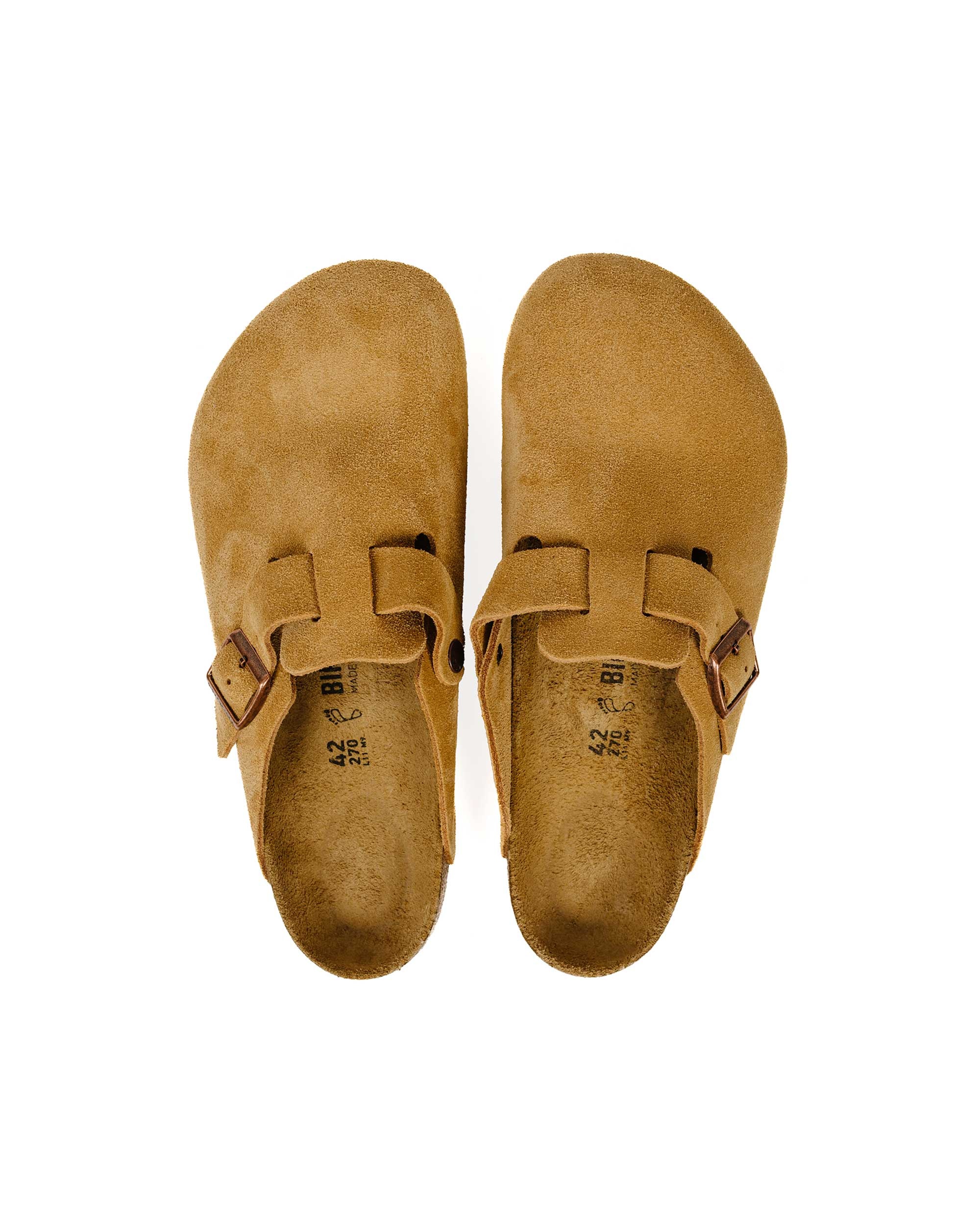 Boston Latte Cream Suede - 5