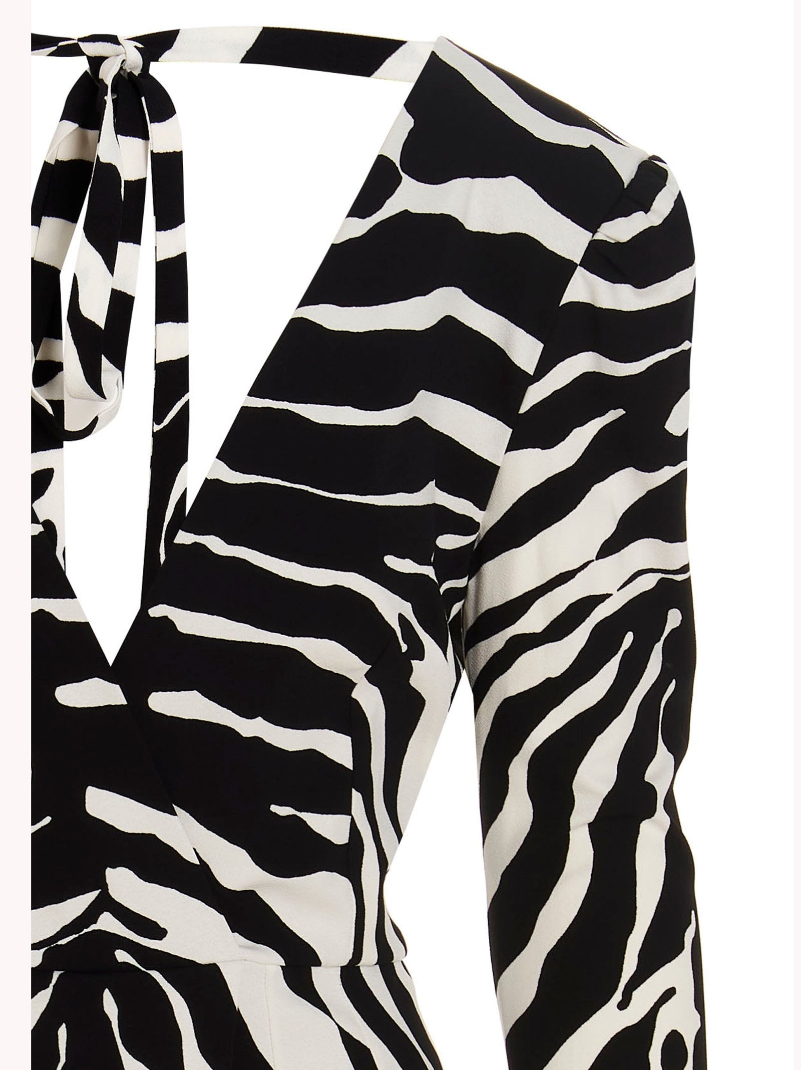 Dolce & Gabbana ‘Zebra’ Dress - 3