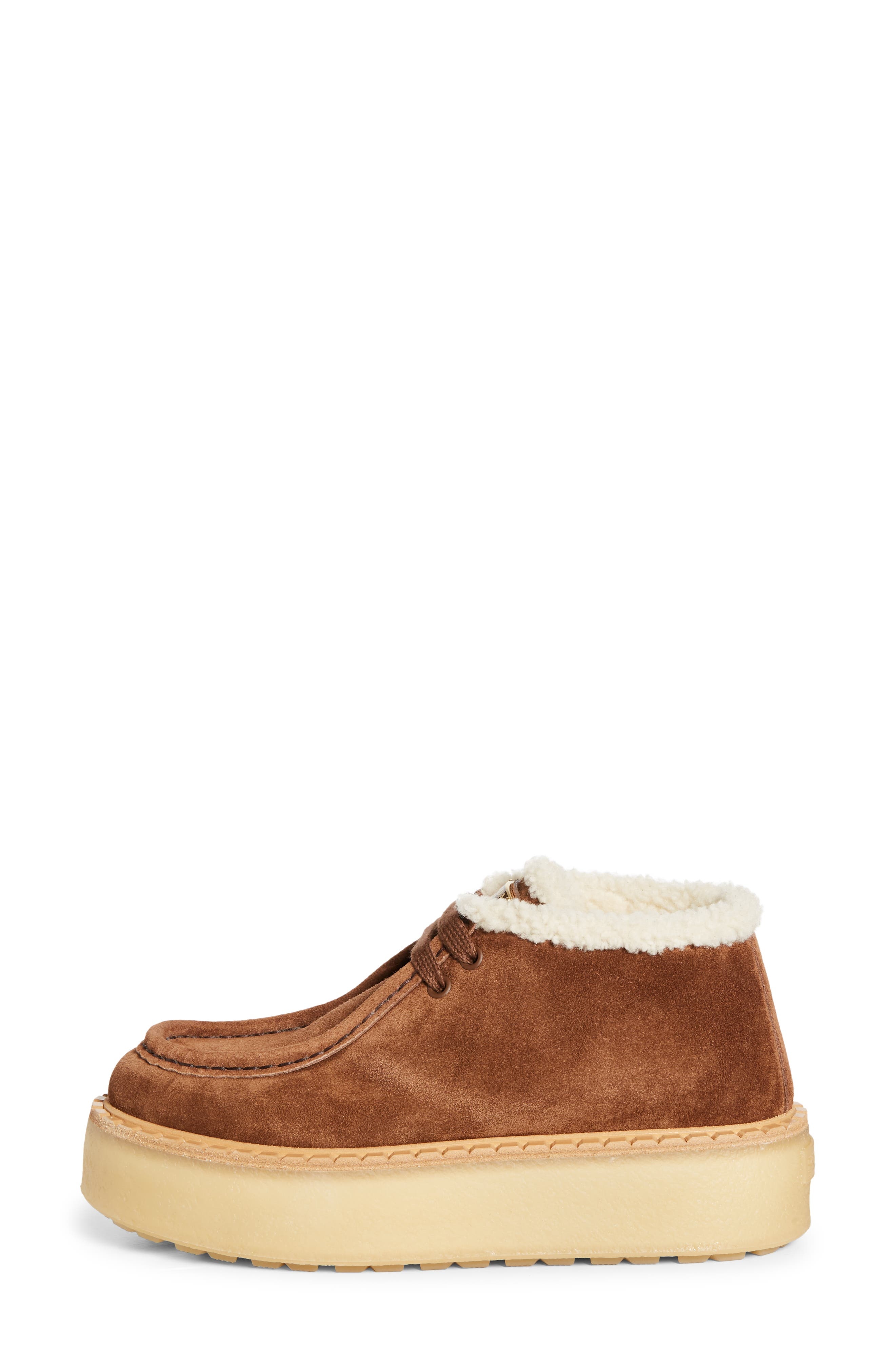 Prada Genuine Shearling Derby Bootie in Cacao at Nordstrom - 3