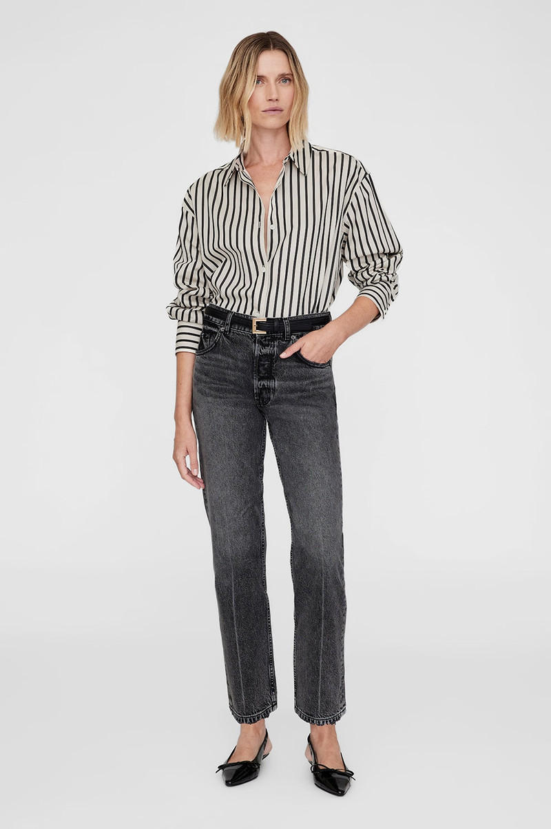 ANINE BING Plaza Shirt - Black And Tan Stripe outlook