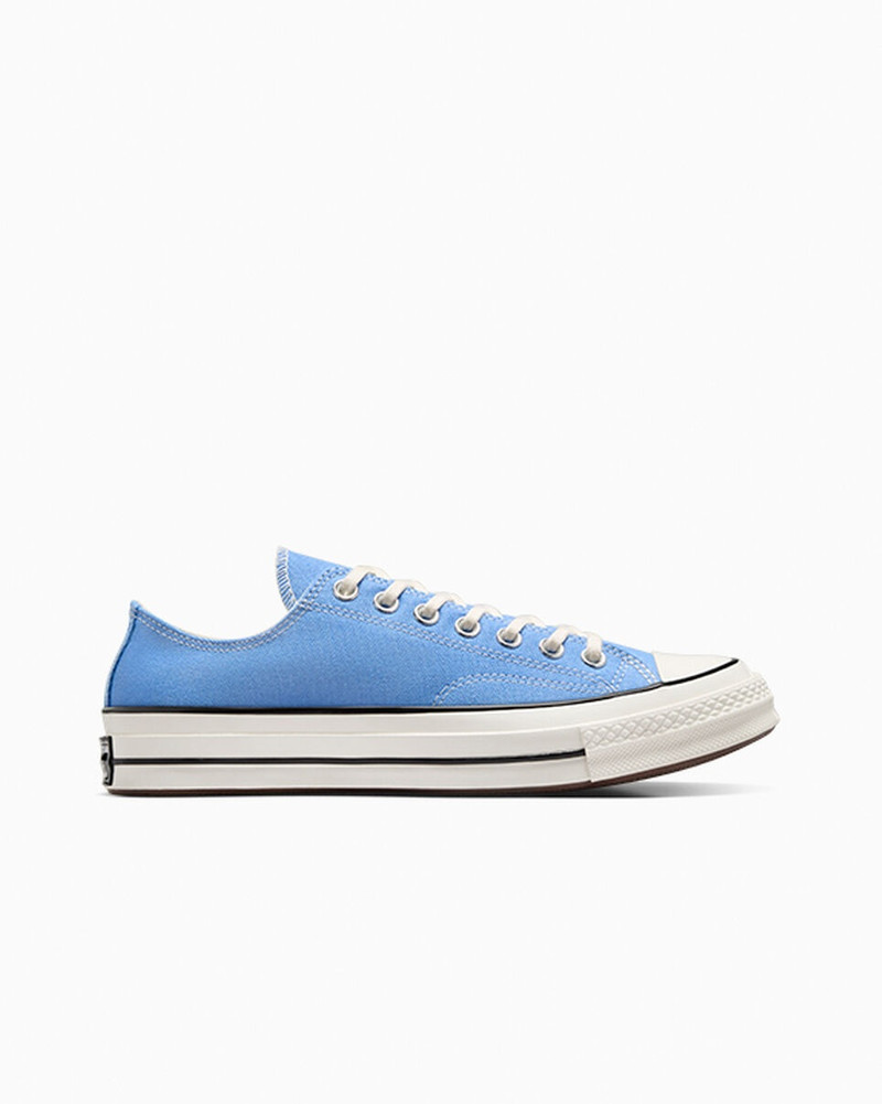 Chuck 70 Canvas 1
