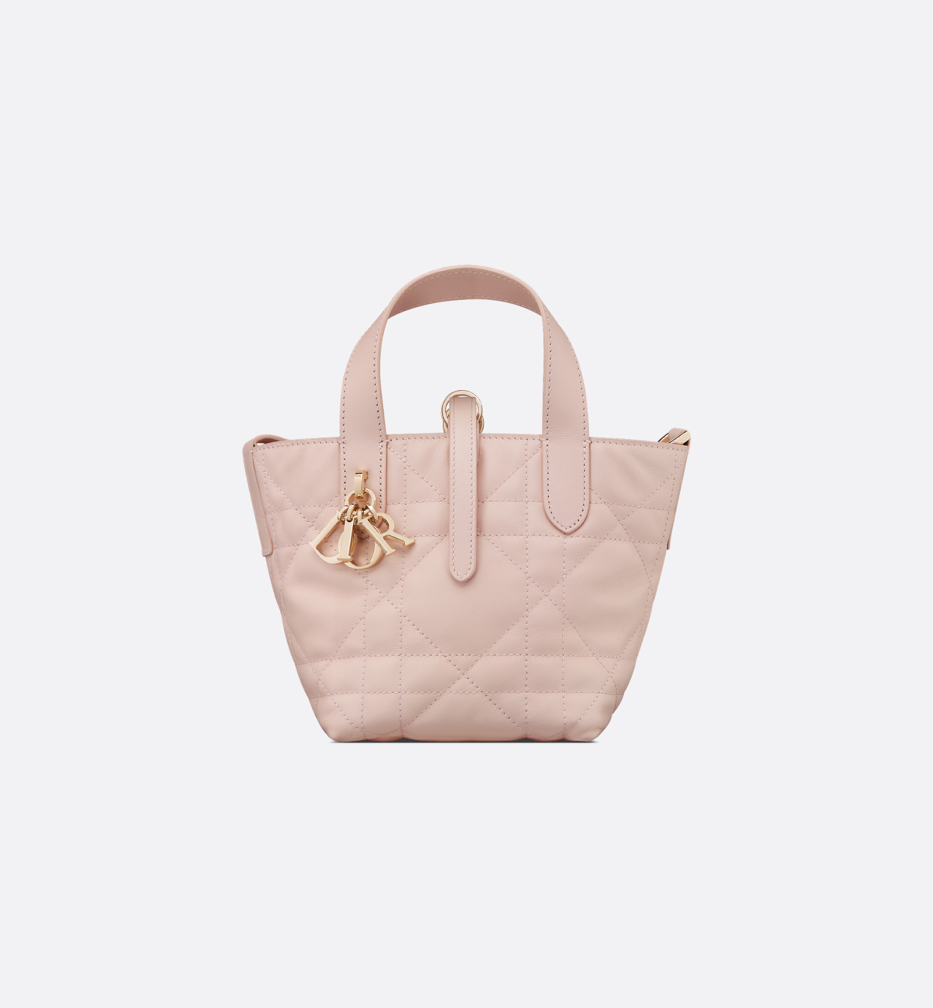 Dior Toujours Vertical Nano Tote Bag - 2