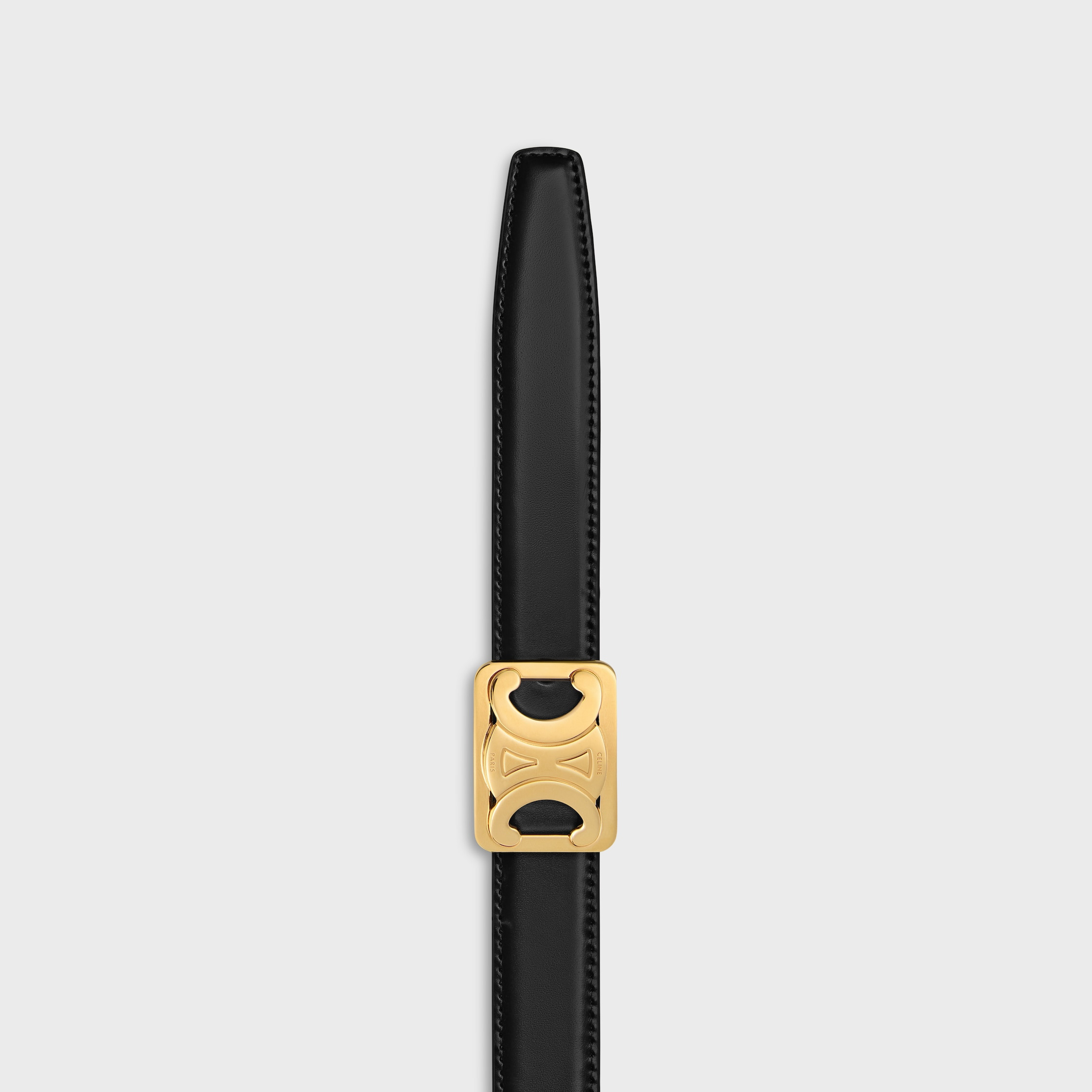 MEDIUM REVERSIBLE FRAMED TRIOMPHE BELT in TAURILLON AND LIZARD EMBOSSED CALFSKIN - 6