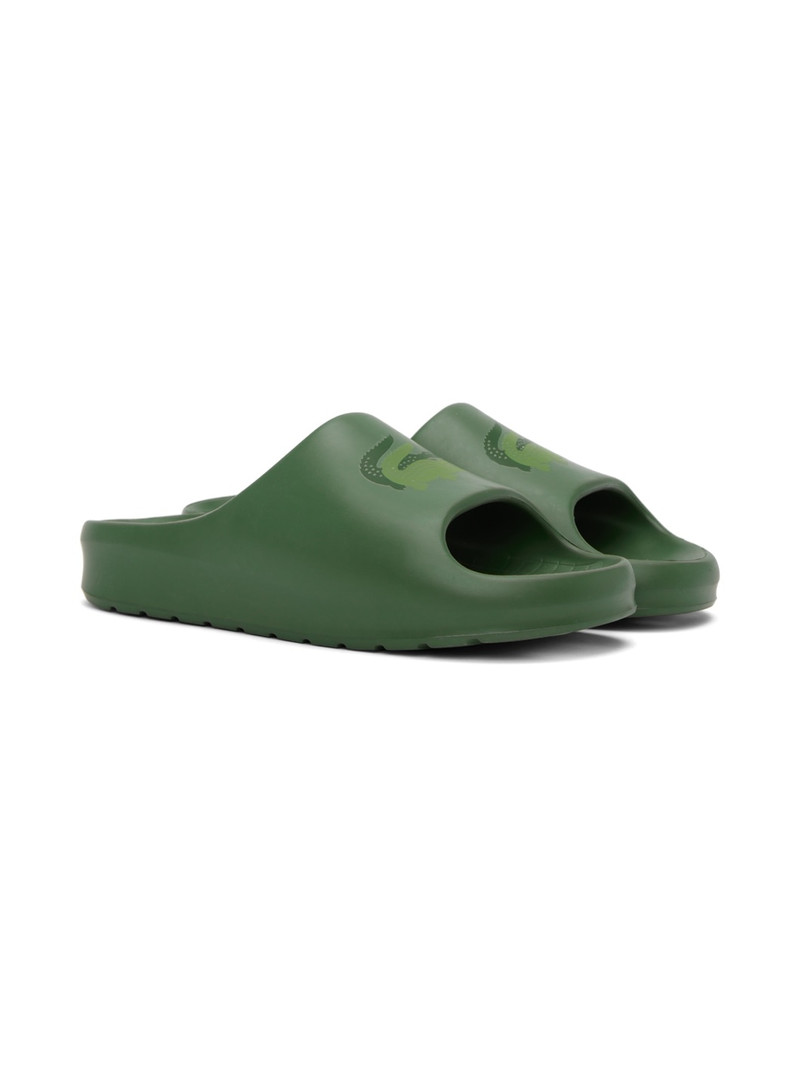 Green Croco 2.0 Slides 4
