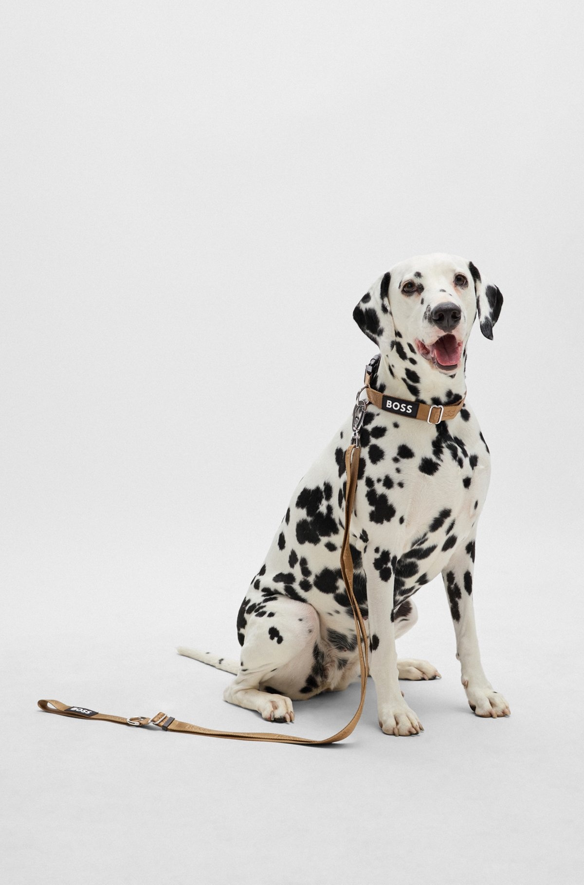 DOG LEAD WITH JACQUARD LOGO DETAILING - 2