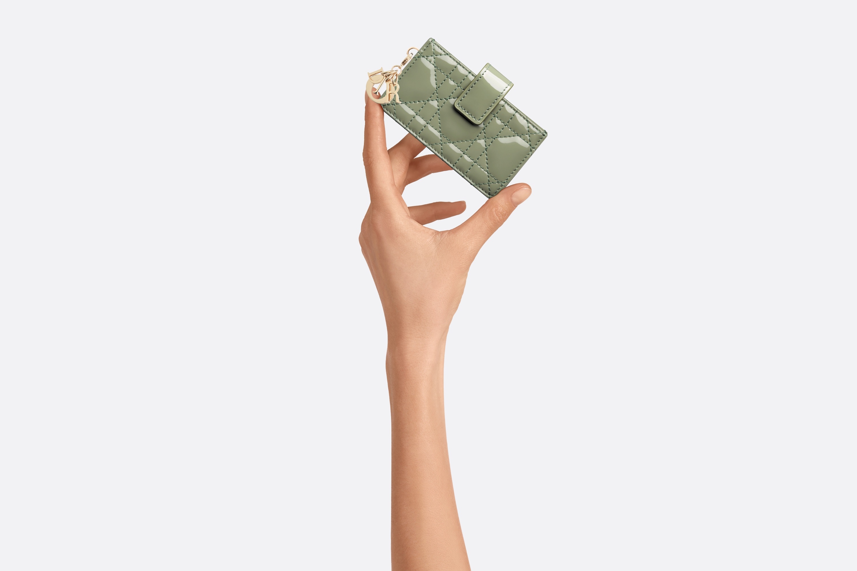 Lady Dior 5-Gusset Card Holder - 6