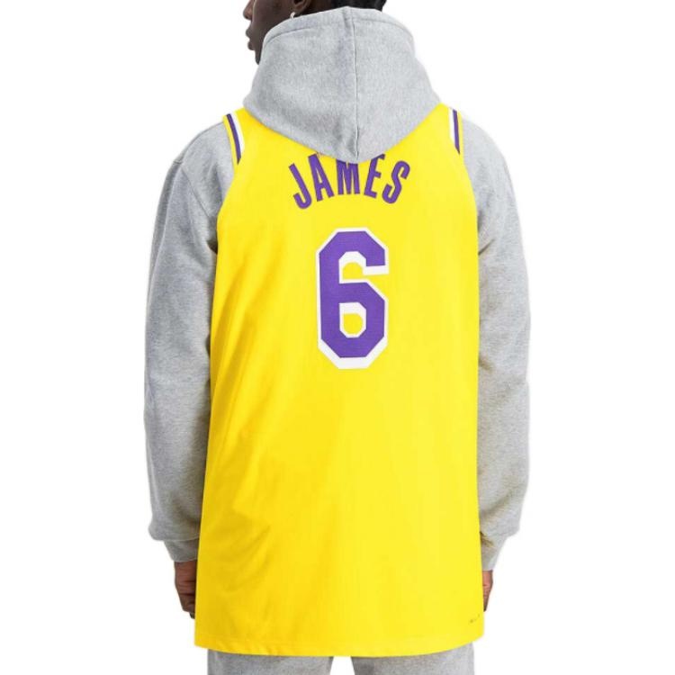 Nike x NBA LA Lakers Jerseys 'LeBron James 6' DB3317-730 - 4