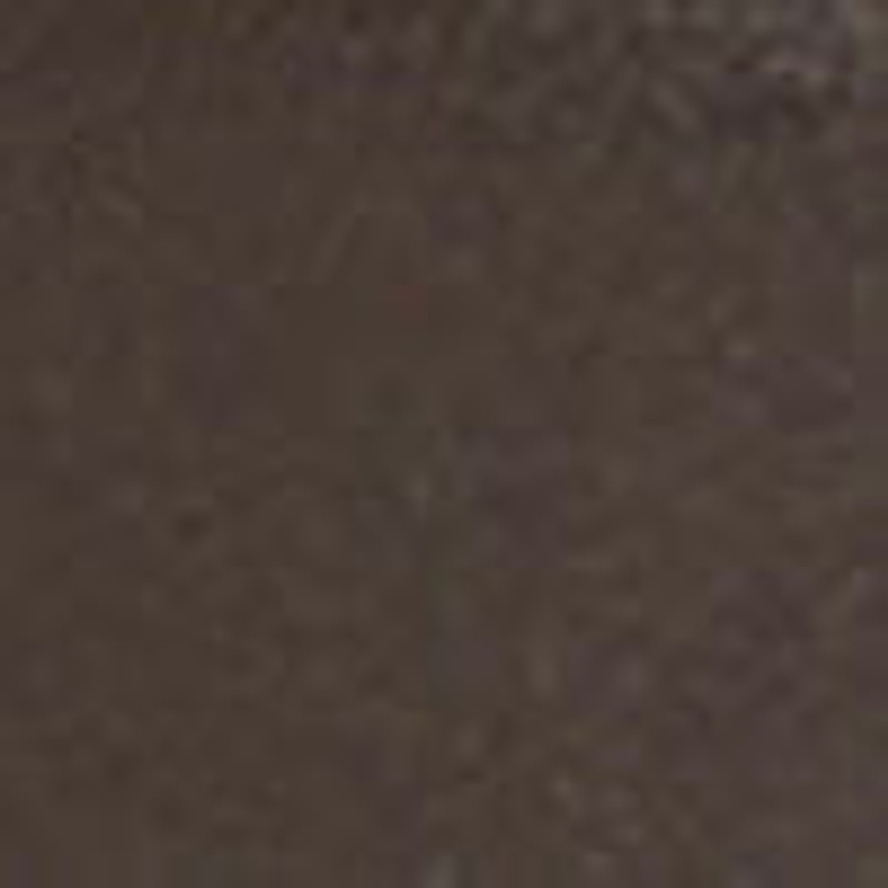 The Row Augustus Belt outlook