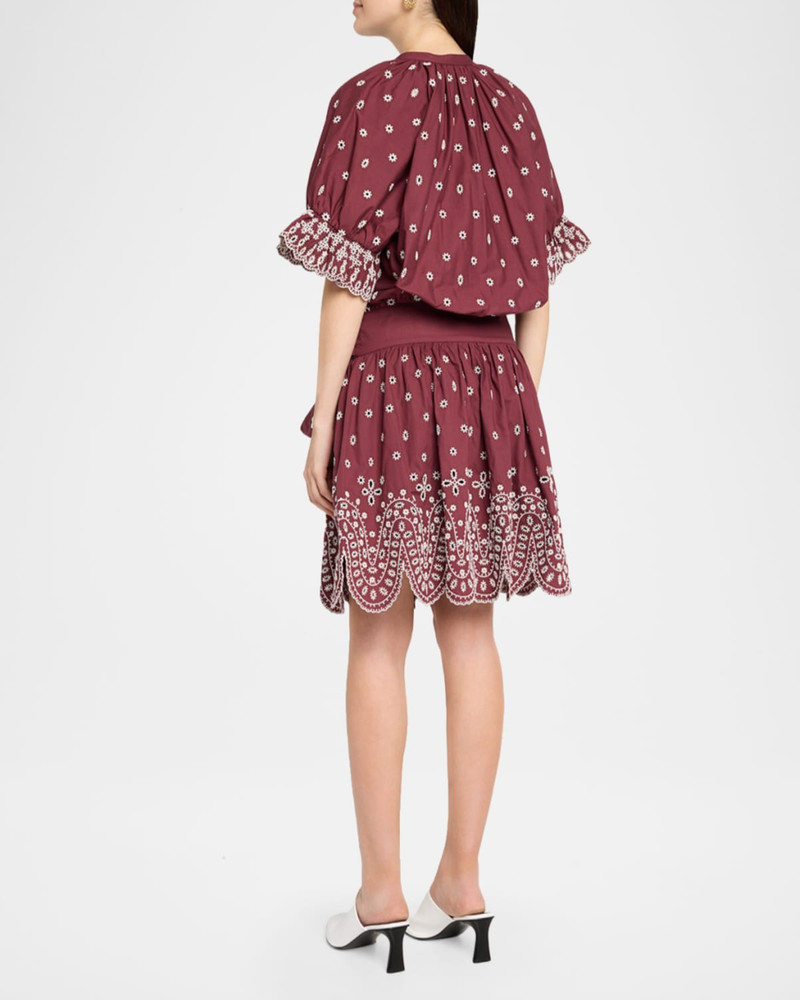 Kaylani Embroidered Mini Shirtdress 3