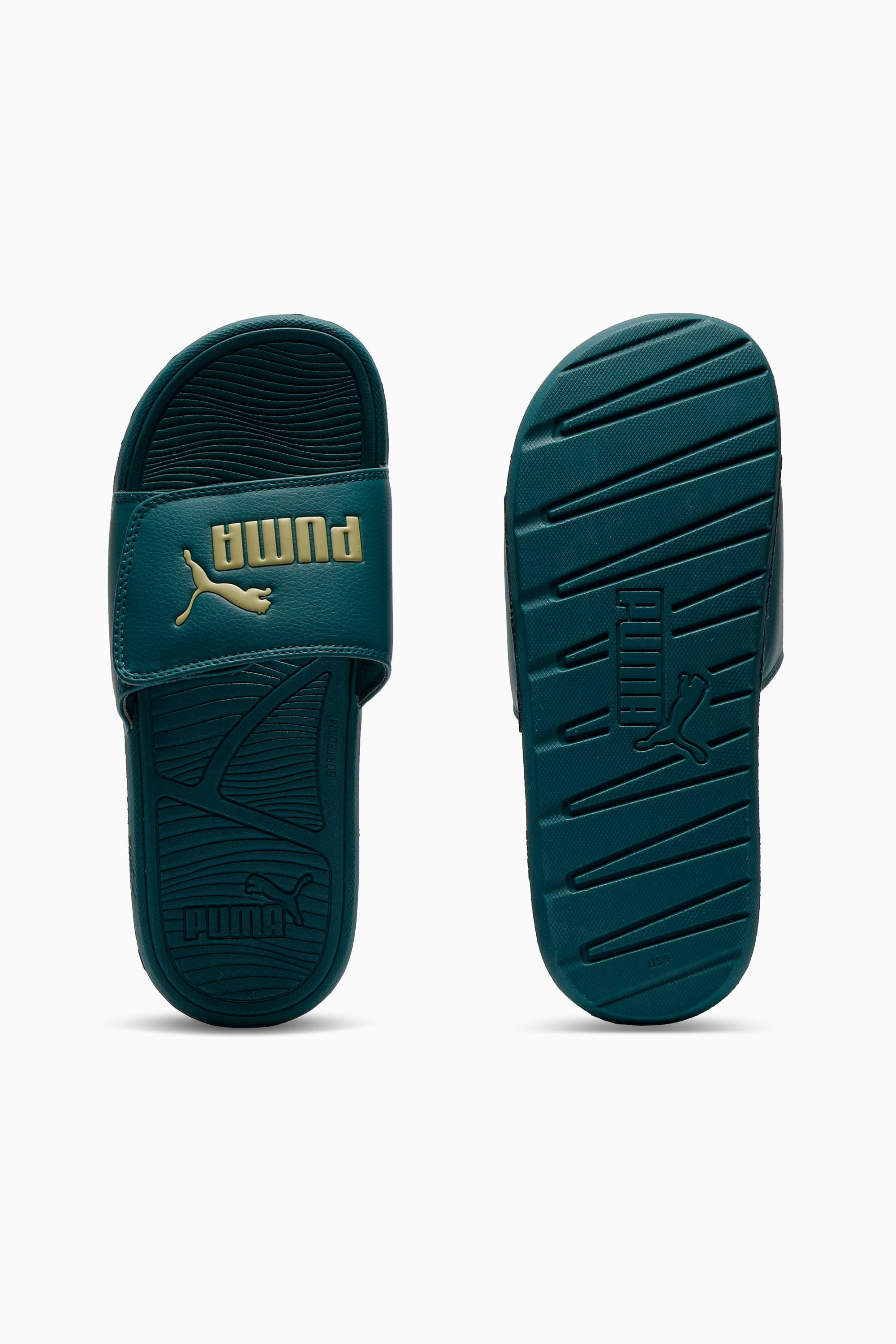 Cool Cat 2.0 Slides - 4