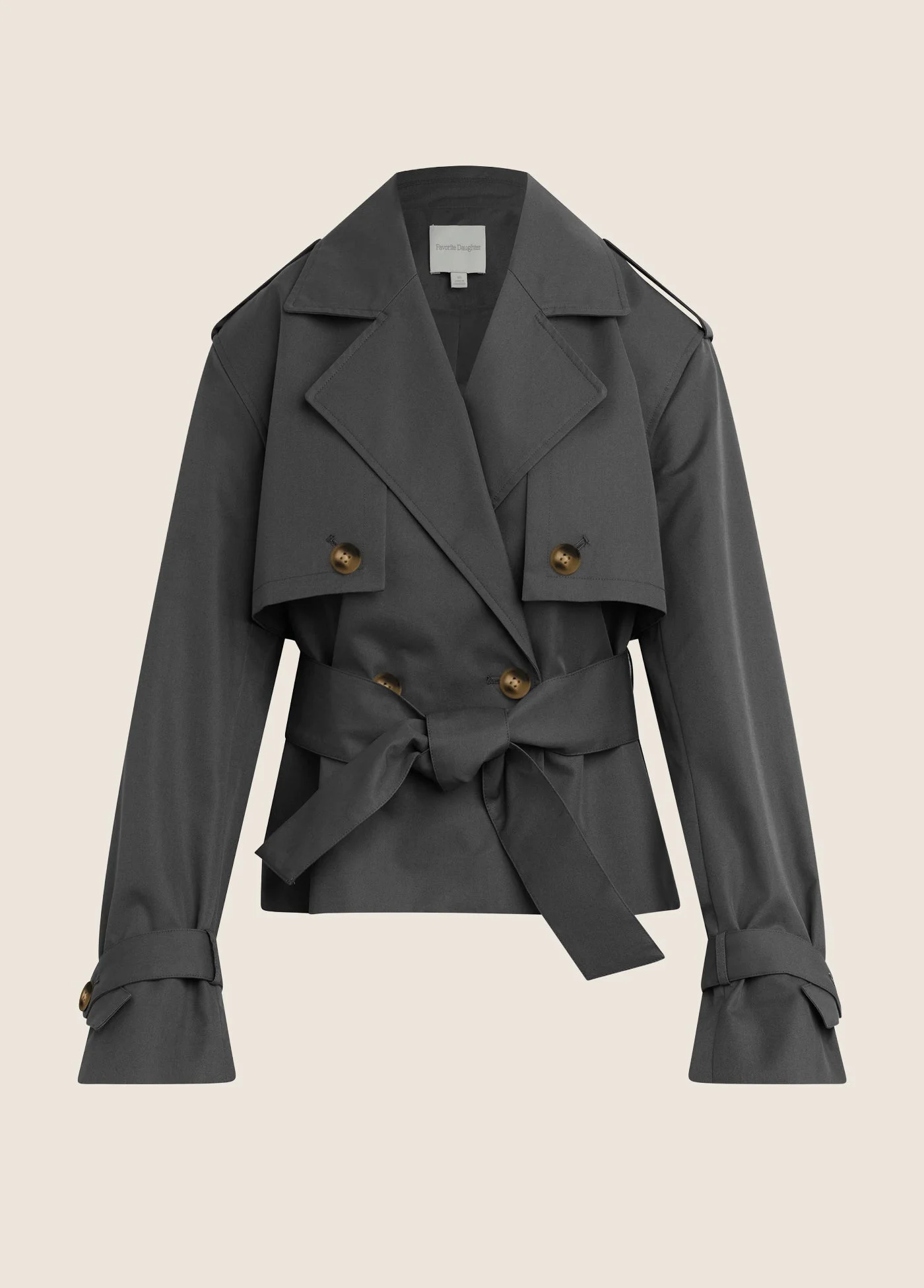 THE CROPPED CHARLES TRENCH - 1