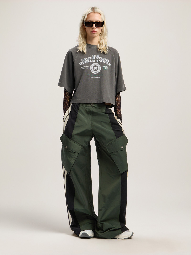 Dollar Cropped Tee 1