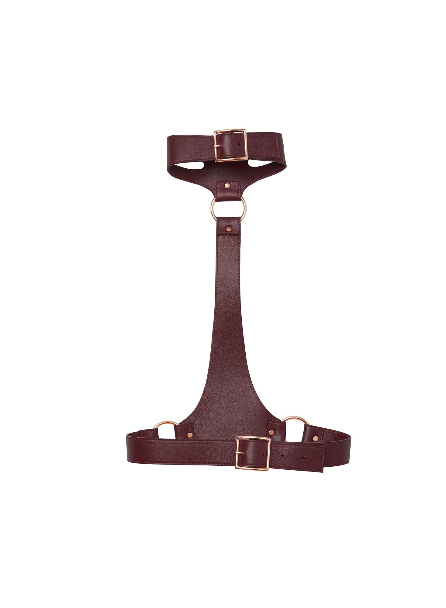 Leather Harness - 4