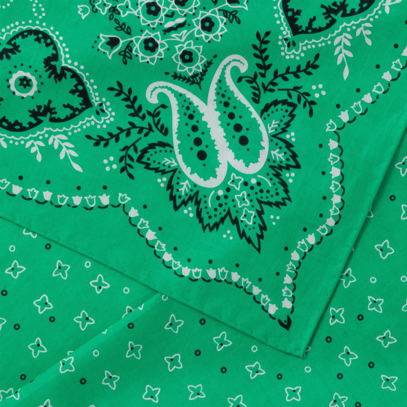 Miu Miu Printed cotton poplin scarf outlook