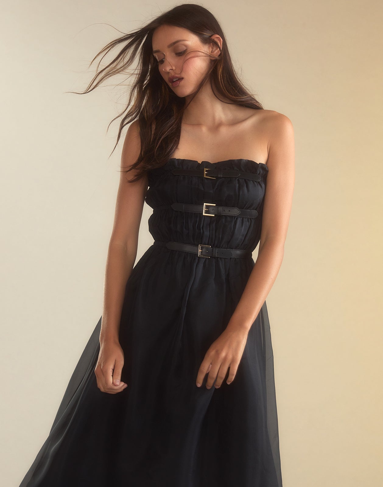 Buckle Up Silk Organza Dress - 3