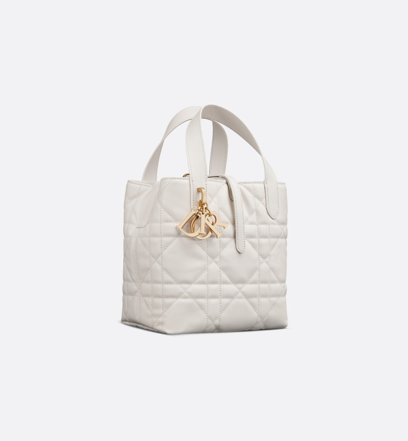 Small Dior Toujours Vertical Tote Bag 1