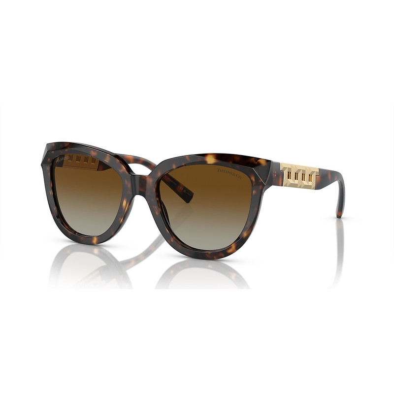 Tiffany & Co. TF4215 outlook