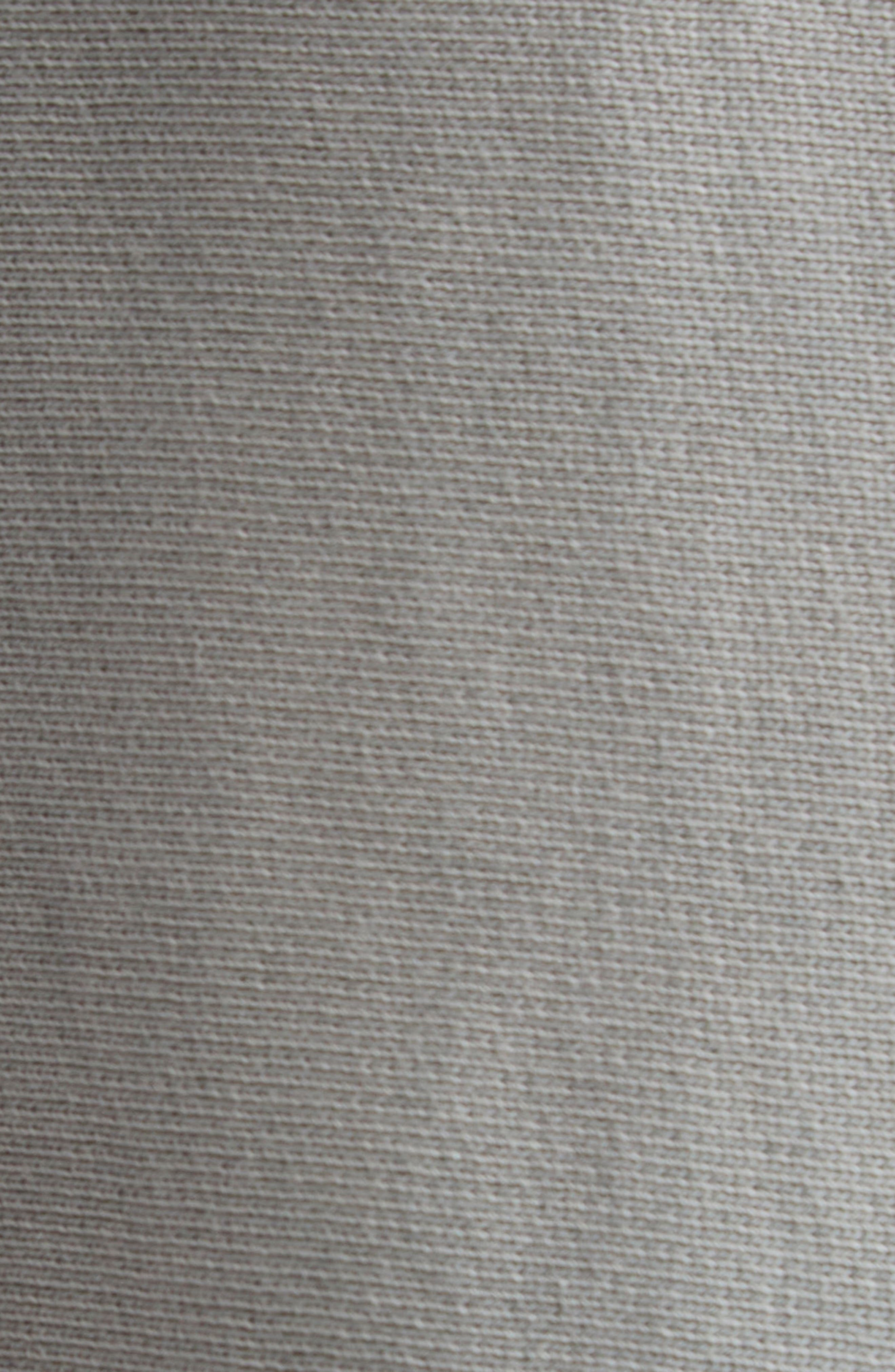 Alexander Wang Oversize Crop Full Zip Hoodie in Washed Cement at Nordstrom - 7