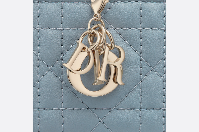 Lady Dior 5-Gusset Card Holder 4