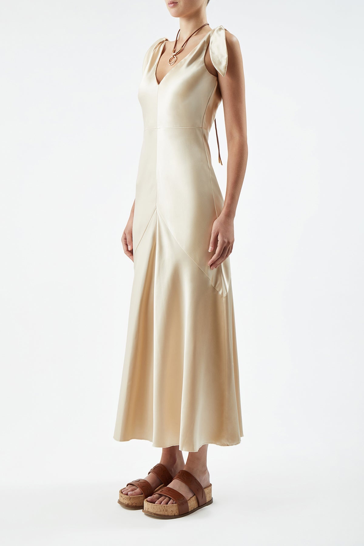 Havilland Dress in Champagne Silk - 3