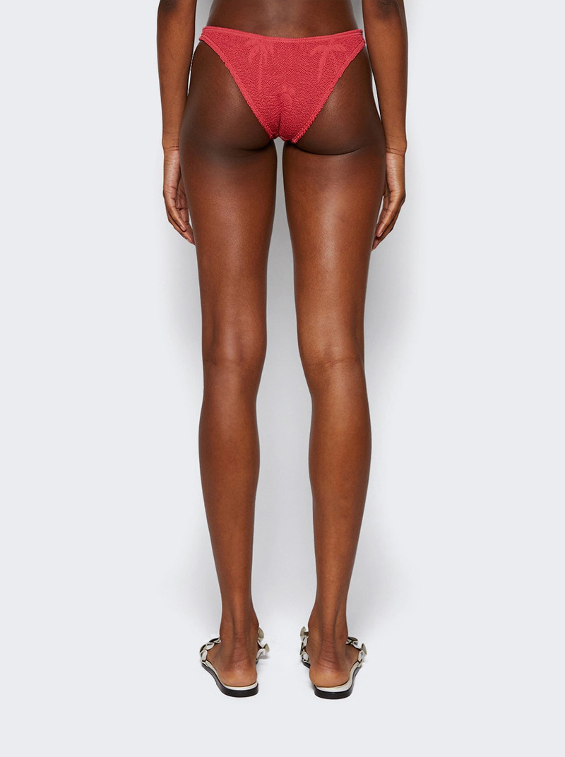Scene Brief Mineral Red Palm 5