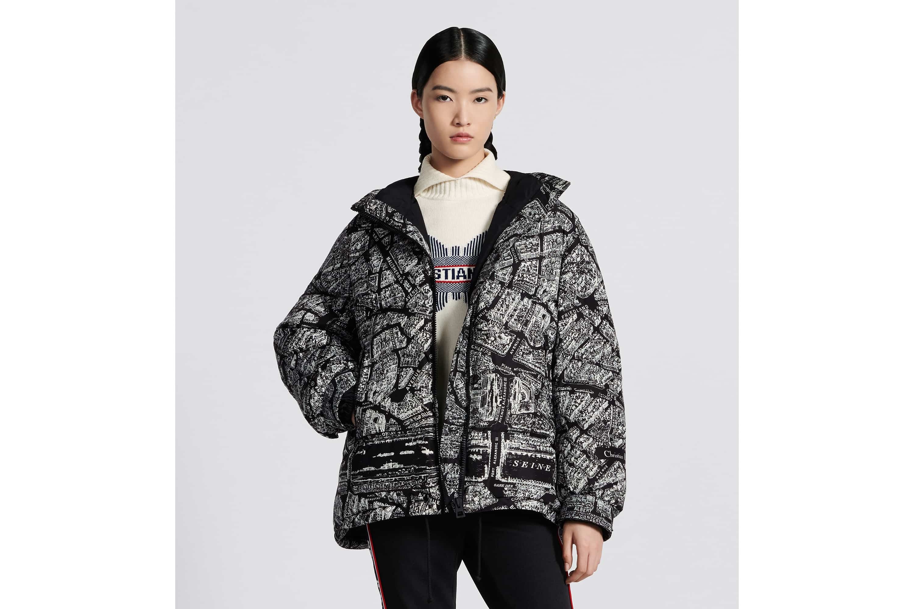DiorAlps Hooded Down Jacket - 2