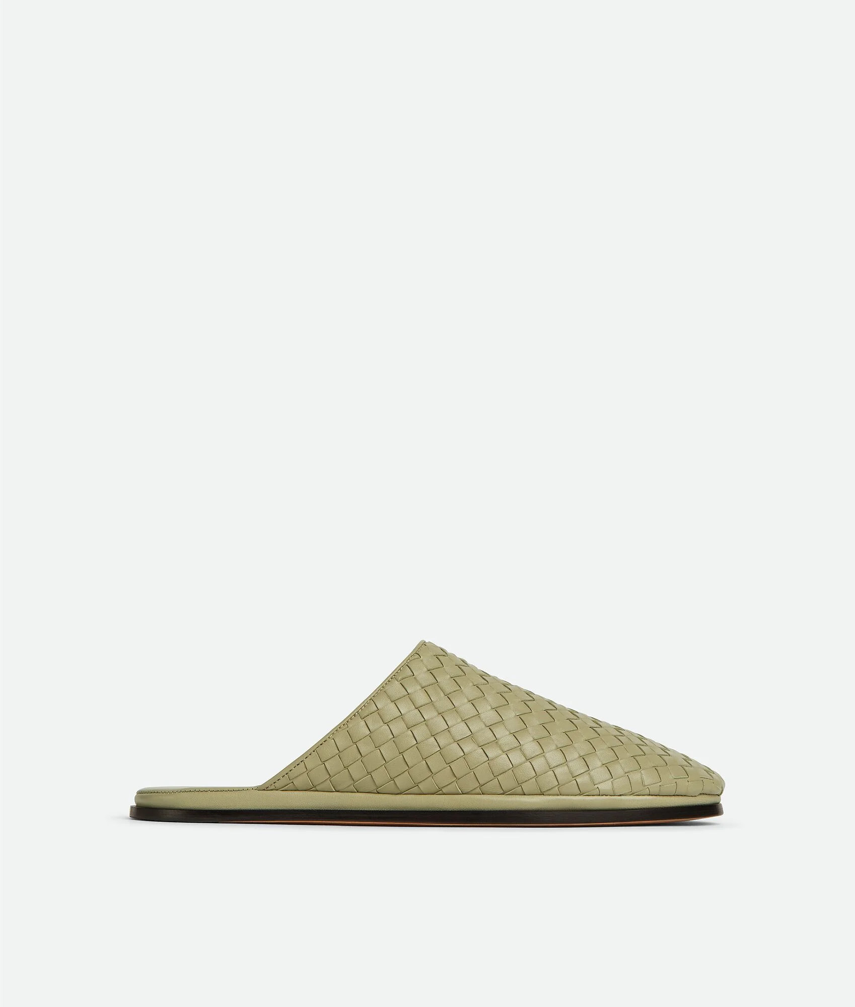 Slipper - 1