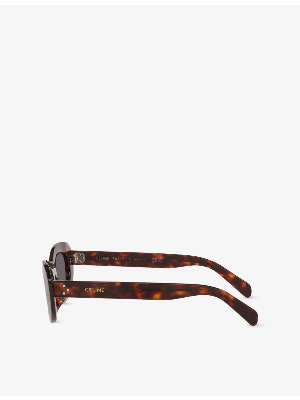 CL40310U Cat-Eye Acetate Sunglasses - 3