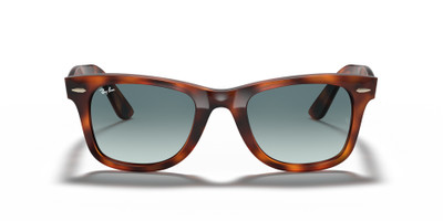 Ray-Ban WAYFARER EASE outlook