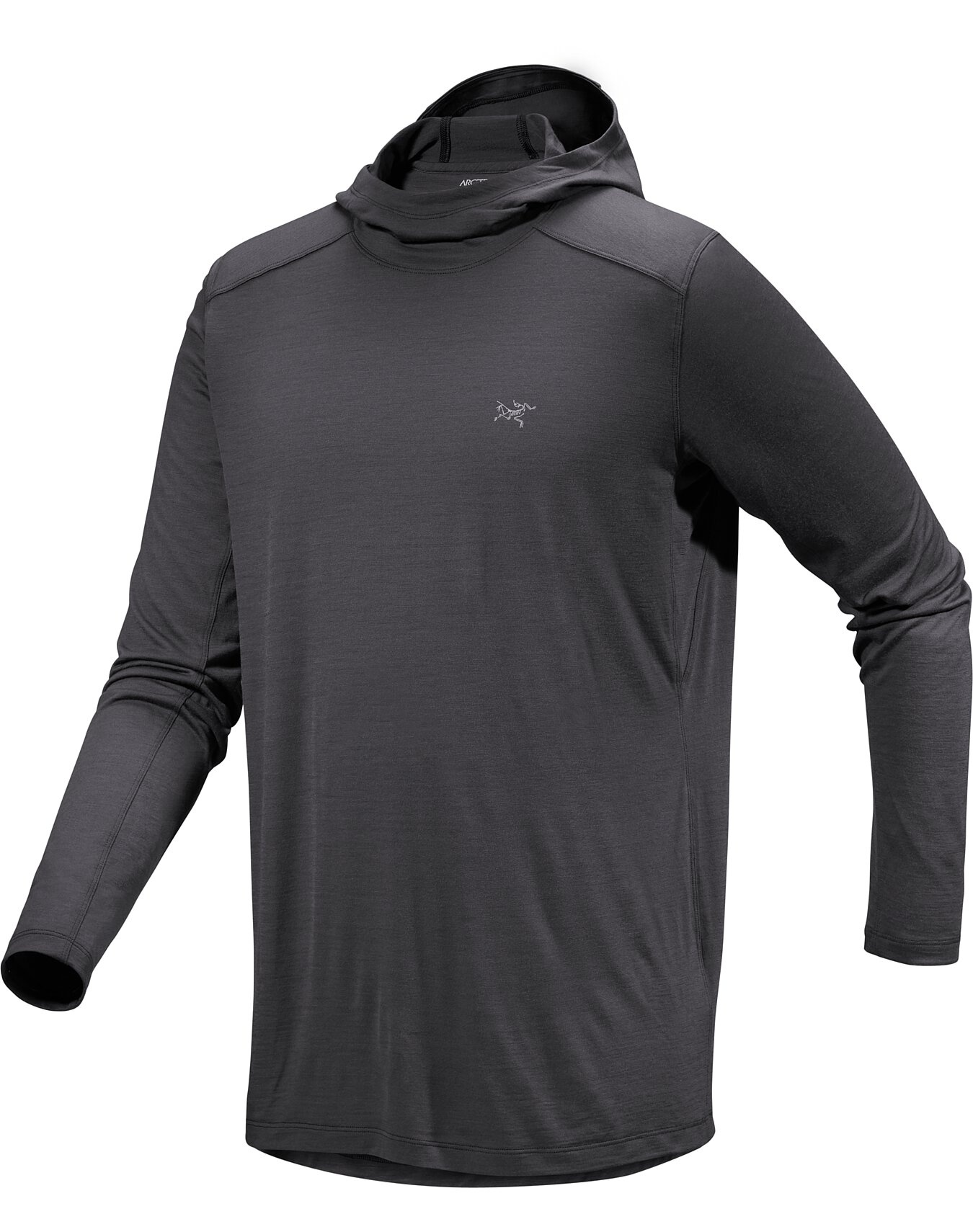 Ionia Merino Wool Hoody - 1