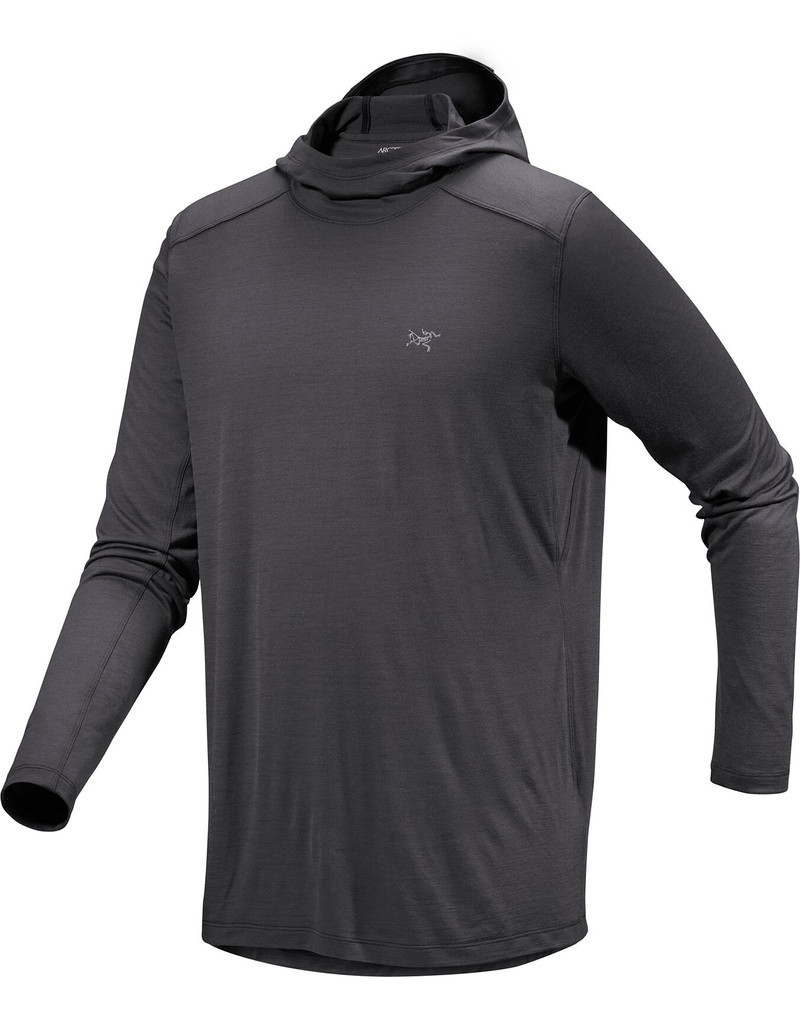 Ionia Merino Wool Hoody 1