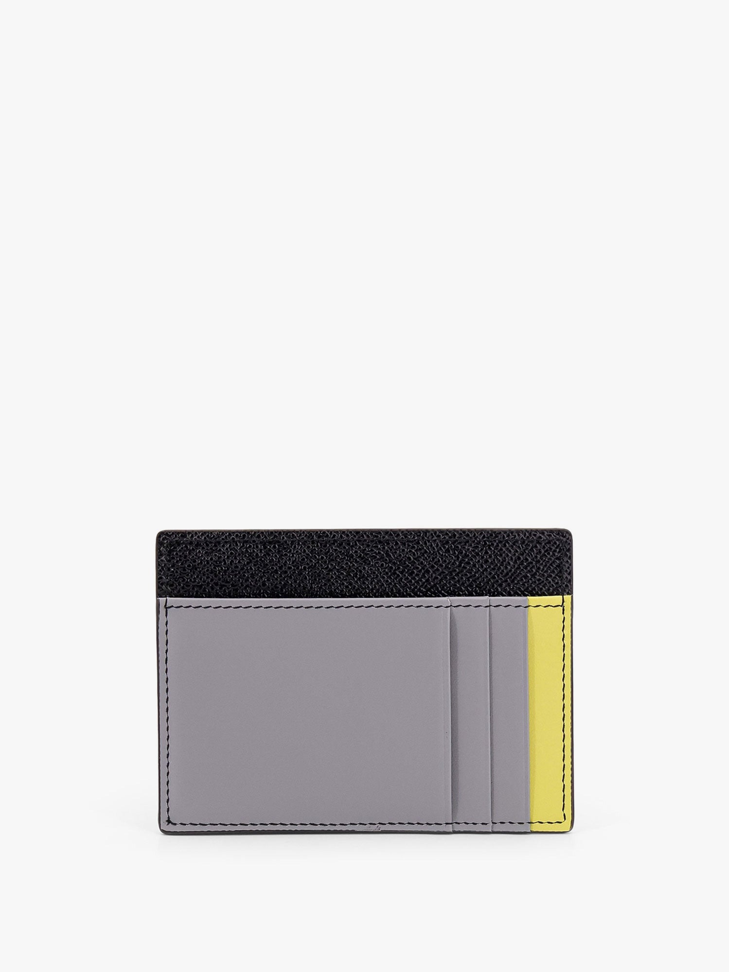 Dolce & Gabbana Men Saffiano Leather Card Holder With Animalier Insert - 2