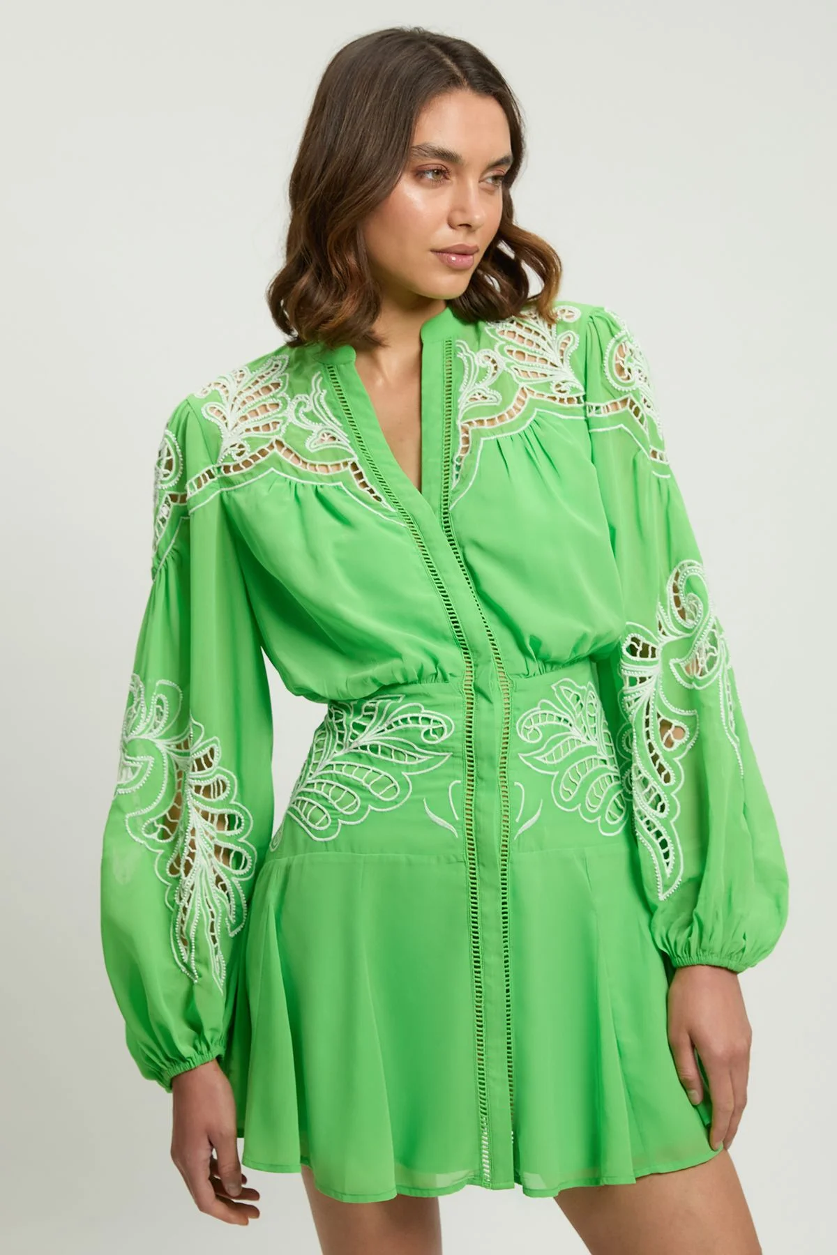 Cutwork Beaded Embroidered Woven Mini Dress - 1